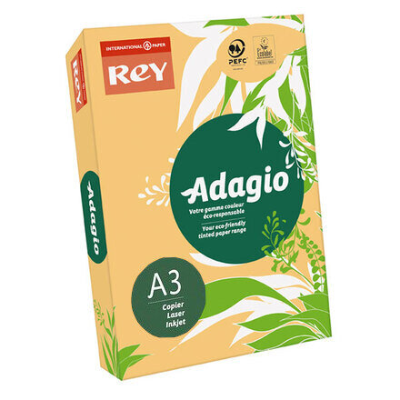 Papir u boji REY ADAGIO PASTEL A3  80 g/m2 500l Giallo oro