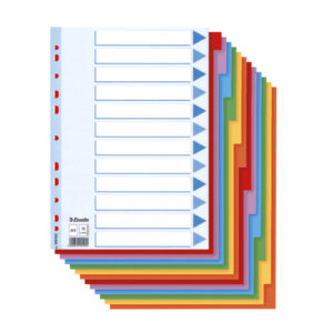 Pregrade kartonske 12 boja A4 ESSELTE 100194
