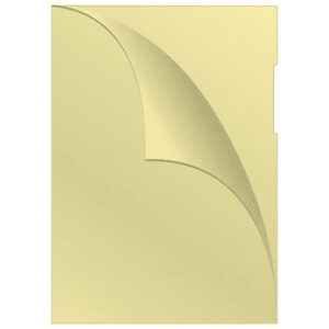 Fascikl PVC L 120 mic A4 mat  Q-Connect KF00308 žuti